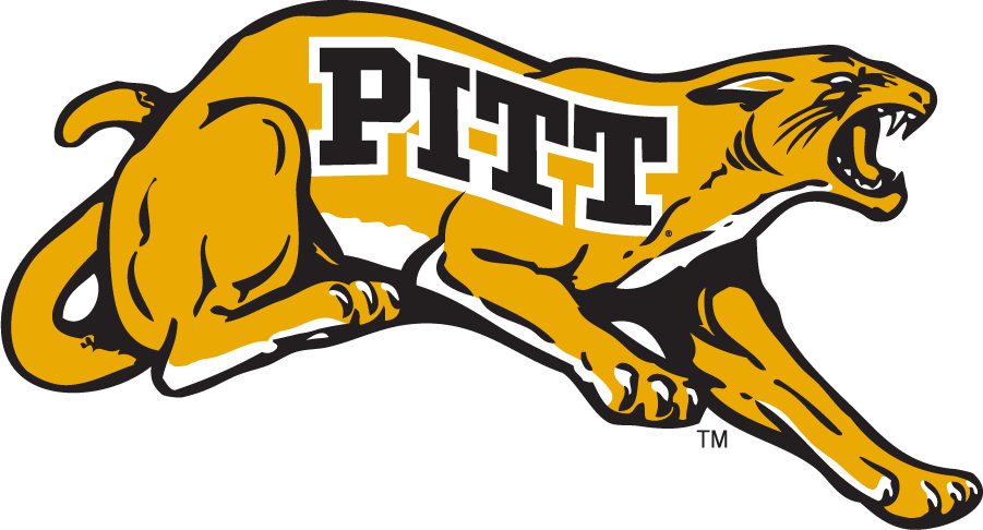 Pittsburgh Panthers 1970-1976 Alternate Logo diy iron on heat transfer